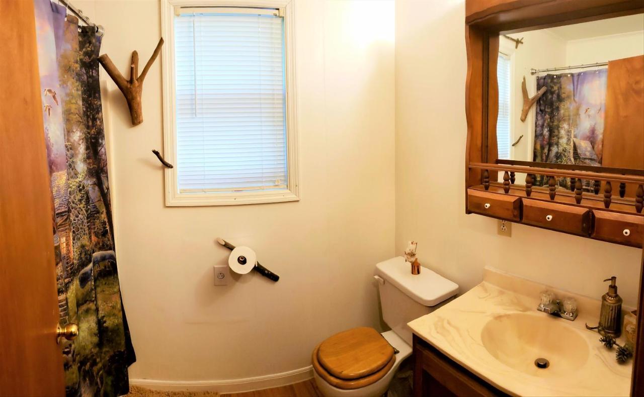 Mountain Laurel Cottage At Hearthstone Cabins And Camping - Pet Friendly Гелен Екстер'єр фото